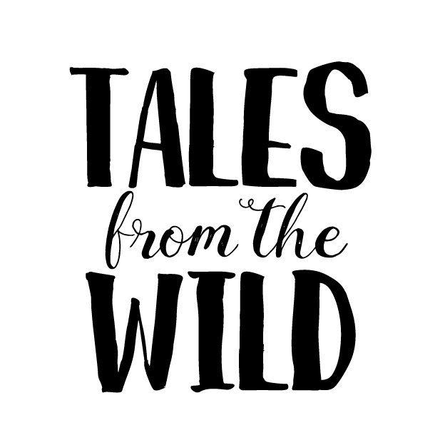 Bus Life | Tales From The Wild